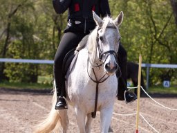 IMG_1598_web